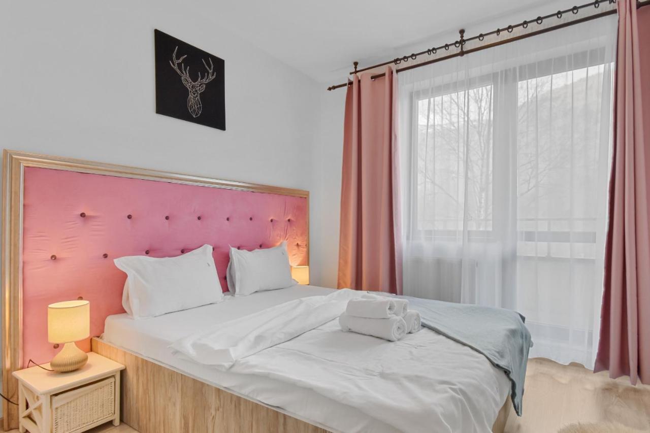 Cri Colina Marei Appartement Sinaia Buitenkant foto